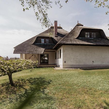 Ferienhaus Schilfvilla Mörbisch am See Eksteriør bilde